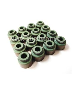 Valve Stem Seals (16) - EVO1-9